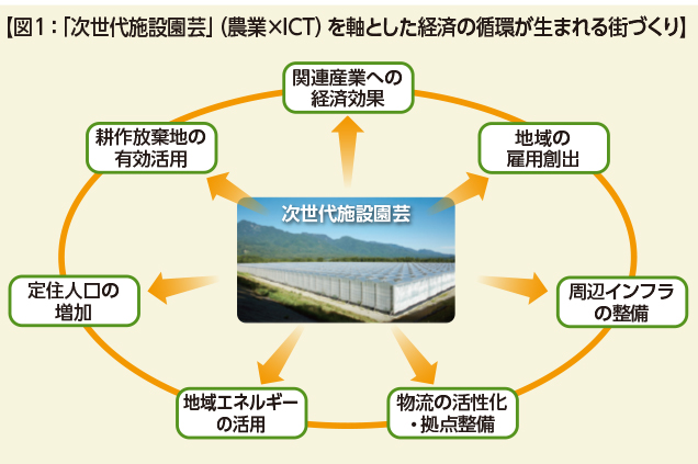日本農業の地域的分析—たばこ栽培を指標としてみた日本農業の地域的動向 (1979年) 日本農業の地域的分析―たばこ栽培を指標としてみた日本農業の