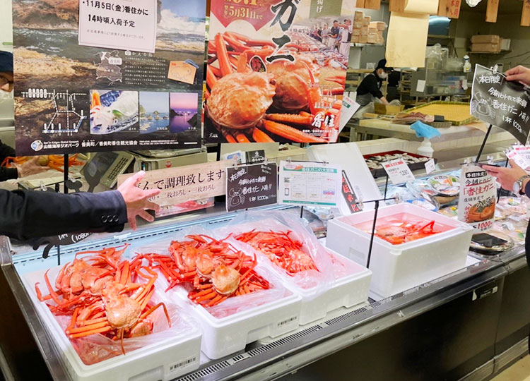 -一般社団法人スマートフードチェーン推進機構-データ連携がもたらす効率化と付加価値を生むスマートフードチェーンの現在と展望